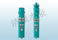 <strong>QS小型潜水泵</strong>
